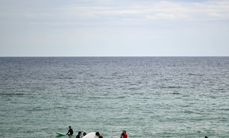 kebakaran hutan Australia