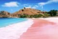 Komodo Island Tour