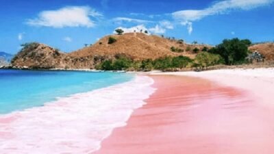 Komodo Island Tour