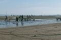 Wisata Pantai Terpadu Penajam