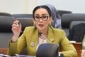 Kapoksi NasDem Badan Kerja Sama Antar-Parlemen (BKSAP) DPR RI, Amelia Anggraini
