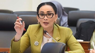 Kapoksi NasDem Badan Kerja Sama Antar-Parlemen (BKSAP) DPR RI, Amelia Anggraini