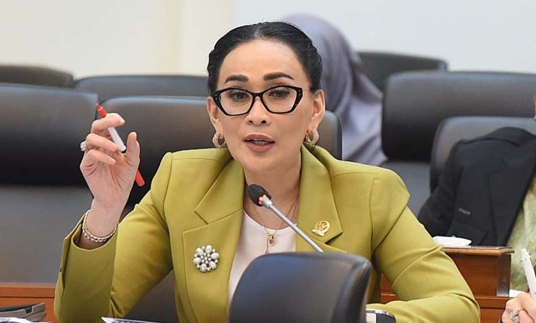 Kapoksi NasDem Badan Kerja Sama Antar-Parlemen (BKSAP) DPR RI, Amelia Anggraini
