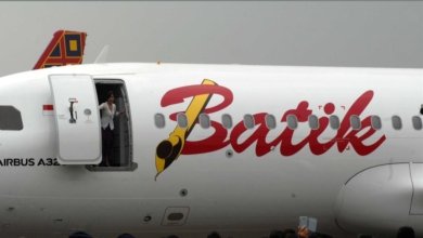 Pramugari Batik Air Viral