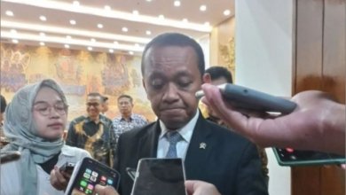 realisasi PNBP ESDM 2025