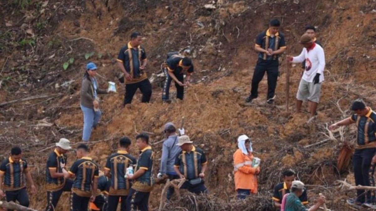 Kebun Jagung Eks Tambang