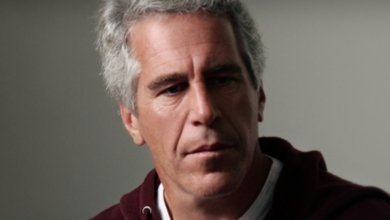 Jeffrey Epstein, terpidana kejahatan seksual 