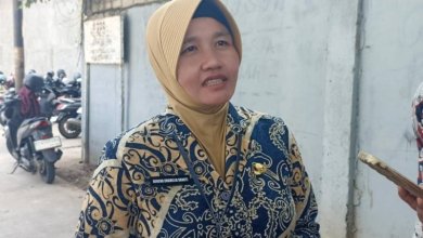 Neneng Chamelia Shanti