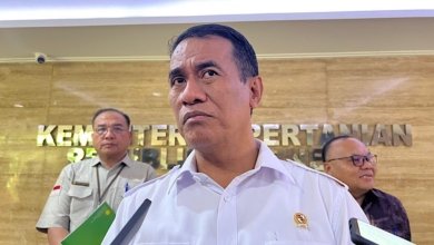 Menteri Pertanian Andi Amran Sulaiman