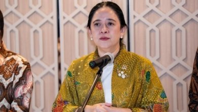 Ketua DPR RI Puan Maharani