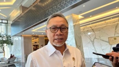 Menteri Koordinator Bidang Pangan Zulkifli Hasan (Zulhas)