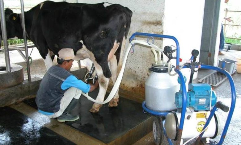Produksi Susu Nasional