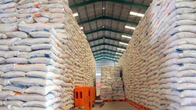 Stok Beras Kaltim Aman hingga Akhir 2026
