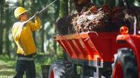 laba bersih Astra Agro - Ilustrasi aktivitas operasional perkebunan kelapa sawit PT Astra Agro Lestari Tbk.