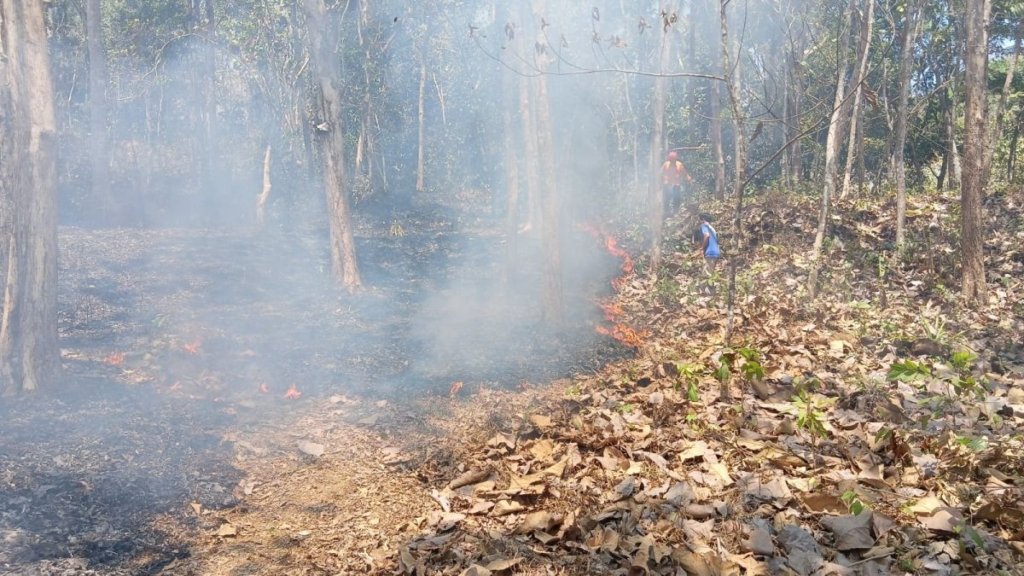 karhutla di 5 daerah - Ilustrasi petugas gabungan berupaya memadamkan titik api dalam peristiwa karhutla di 5 daerah.
