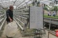 urban agriculture - Aktivitas para pegiat Majelis Sayur Jagakarsa dalam mengembangkan gerakan urban agriculture di Jakarta Selatan.
