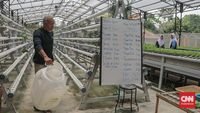 urban agriculture - Aktivitas para pegiat Majelis Sayur Jagakarsa dalam mengembangkan gerakan urban agriculture di Jakarta Selatan.