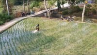 kekeringan sawah di Karawang - Petugas dan petani saat memantau operasional pompa air untuk mengatasi kekeringan sawah di Karawang.