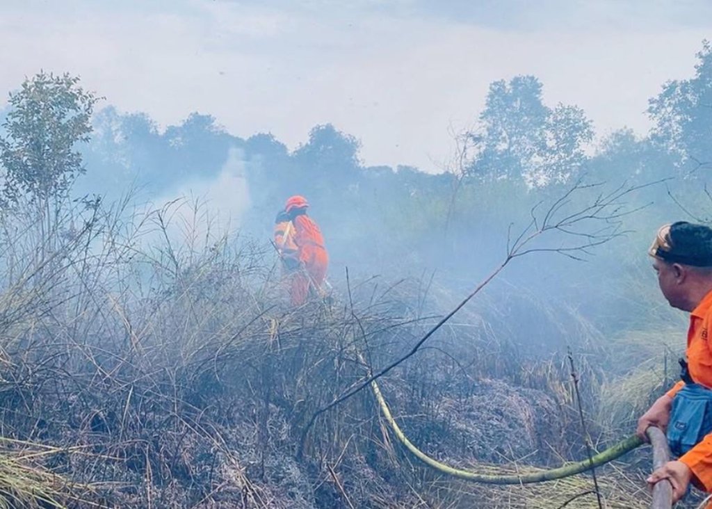 pemadam karhutla - Ilustrasi pesawat canggih pemadam karhutla jenis Beriev yang disiapkan pemerintah untuk mengatasi kebakaran hutan dan lahan di Indonesia.