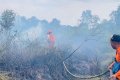 pemadam karhutla - Ilustrasi pesawat canggih pemadam karhutla jenis Beriev yang disiapkan pemerintah untuk mengatasi kebakaran hutan dan lahan di Indonesia.
