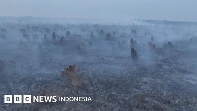 karhutla Jambi - Ilustrasi penanganan kebakaran hutan dan lahan (karhutla Jambi) di area konsesi perkebunan.
