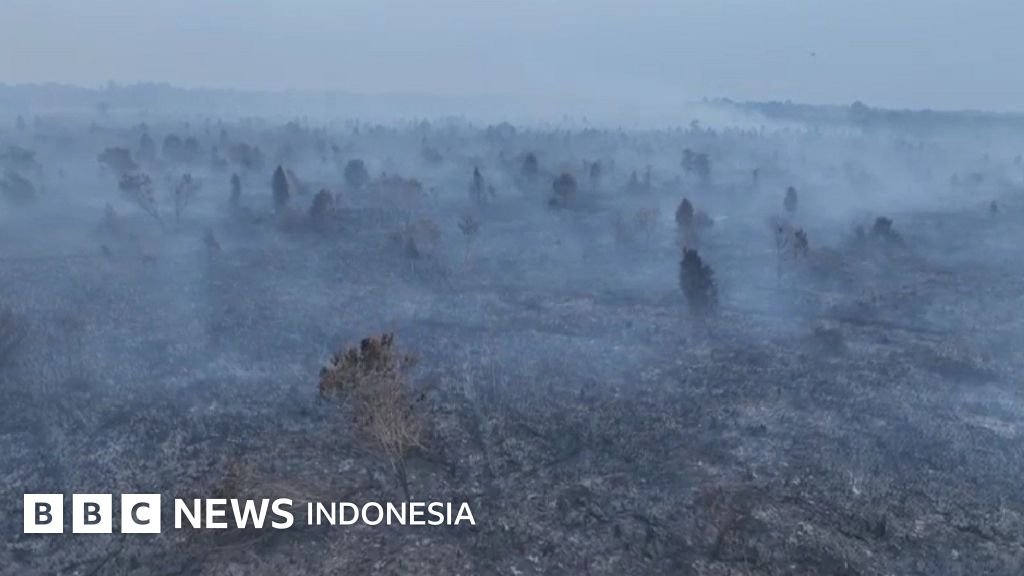 karhutla Jambi - Ilustrasi penanganan kebakaran hutan dan lahan (karhutla Jambi) di area konsesi perkebunan.