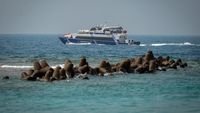 Transjakarta Laut - Ilustrasi armada transportasi laut yang melayani rute kepulauan di wilayah pesisir DKI Jakarta.